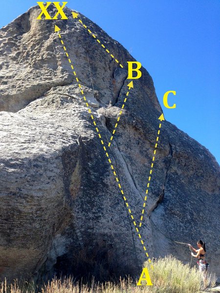 A) Conceptual Reality 5.9<br>
B) Biliary Tree 5.8<br>
C) Rock Lobster 5.7