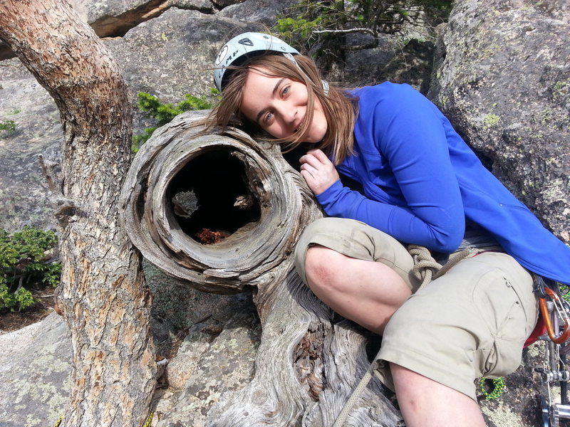 You know you've harpooned the white whale when you reach this hollow trunk.
