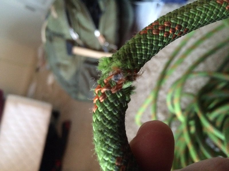 Rope sheath damage?