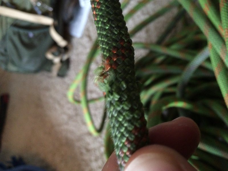 Rope sheath damage?