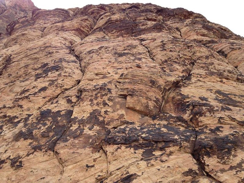 Looking up pitch 8 from the belay.