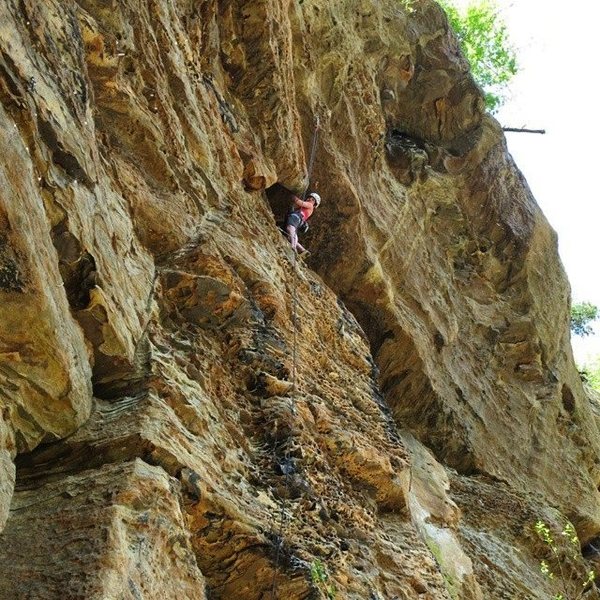 At the no-hands rest near the top. April 2015.