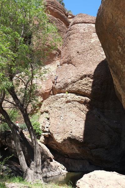 View of route from the pond.