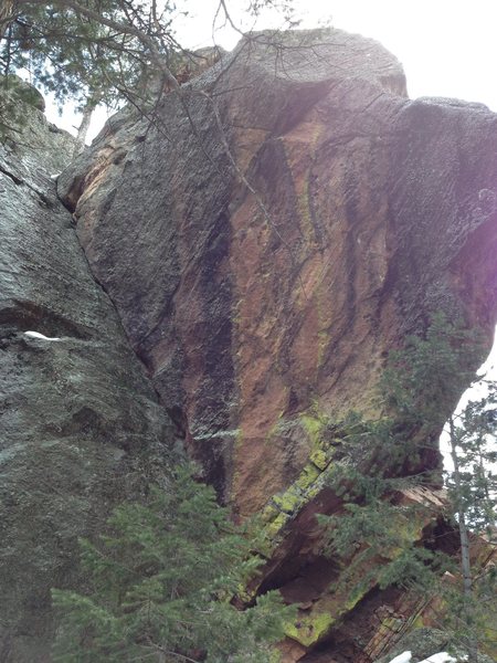 The corner crack is Lichen-thrope.