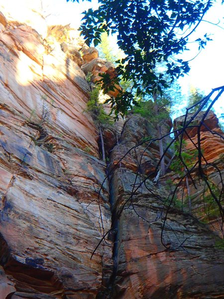 The final chimney pitch and rappel tree.