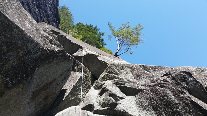 Looking up a fun 2nd pitch