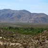 The oasis at Lower Willows, Anza Borrego SP