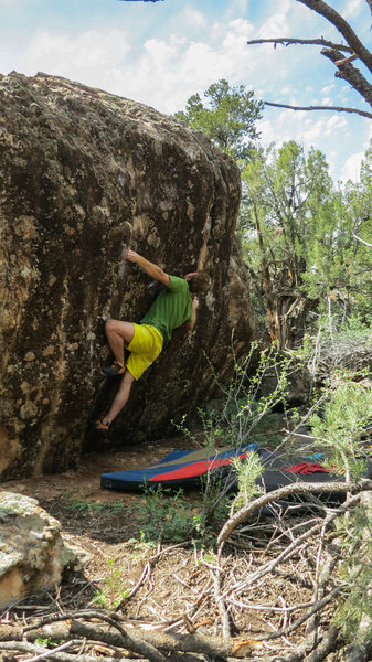 Start beta/eyeing the move to the pinch on Venisonvision.