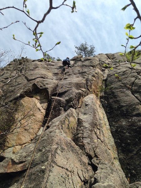 Craig giggling with joy the whole way up.
