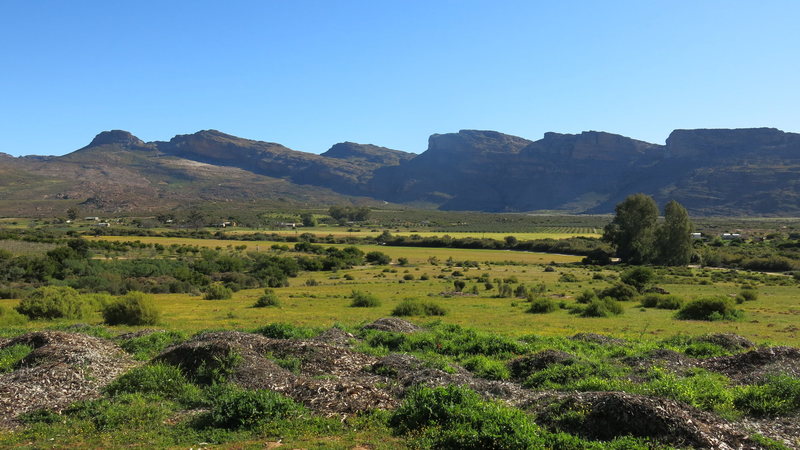 A view of the skyline from Camp Sallie at de Pakhuys farm.