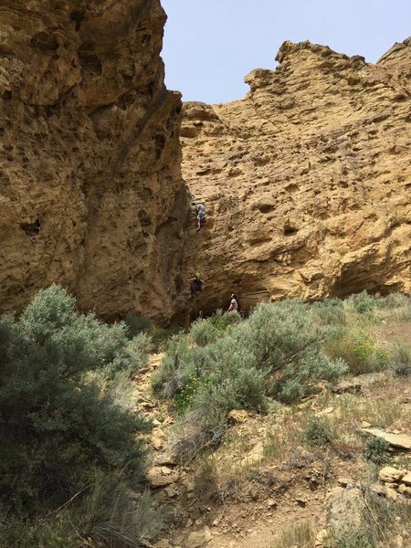 A few moments before the accident.  The young lady fell from where the higher climber is in this photo.