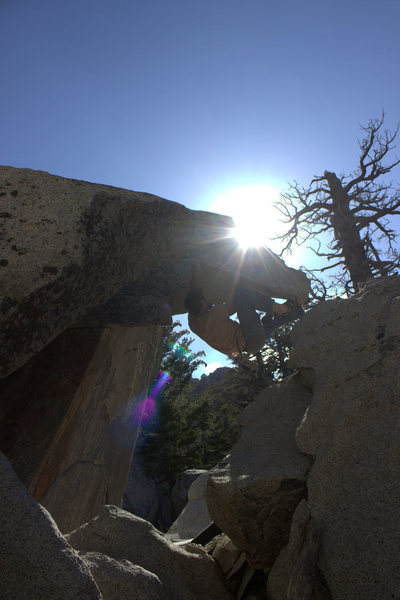Sunstar on the head of the dragon