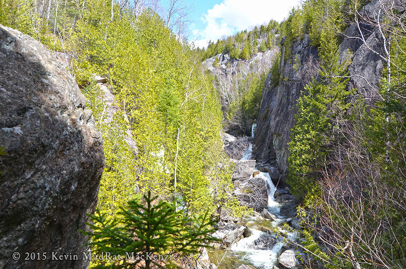 View of Boquet Canyon looking north, a portion of Shark Fin Cliff in the background.