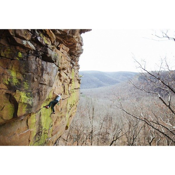 Tyler Casey on "Gracious Grant"<br>
<br>
Photo: Sam Matthews