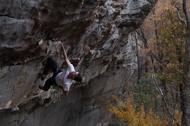 Close Encounters<br>
<br>
Photo: Sam Matthews<br>
<br>