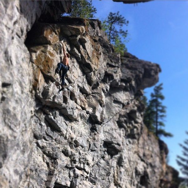 Nearing the top of Priapism