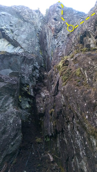 View of P2