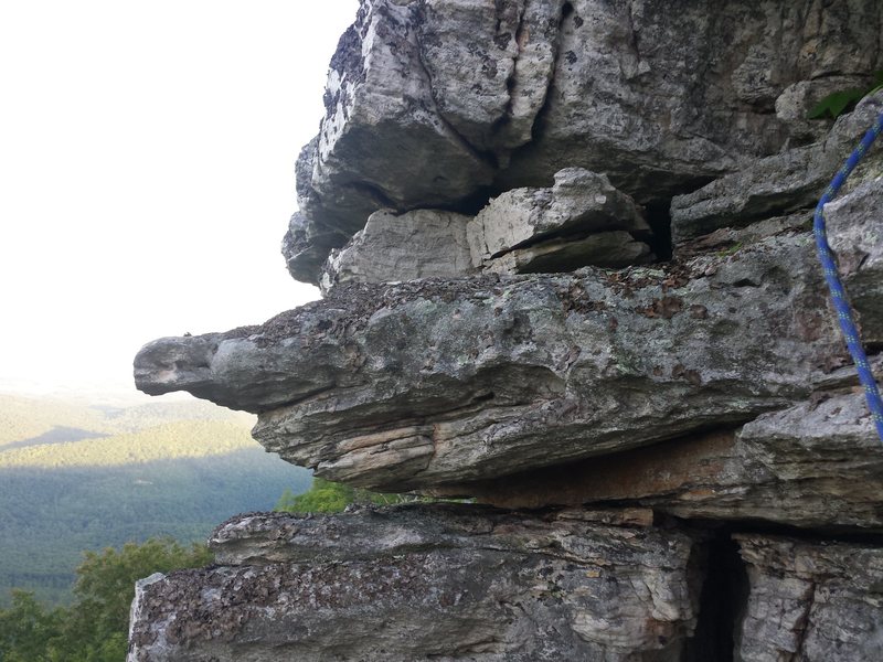 The area to the left of the dihedral does not seem as a solid and should be avoided. Pretty though.. :)