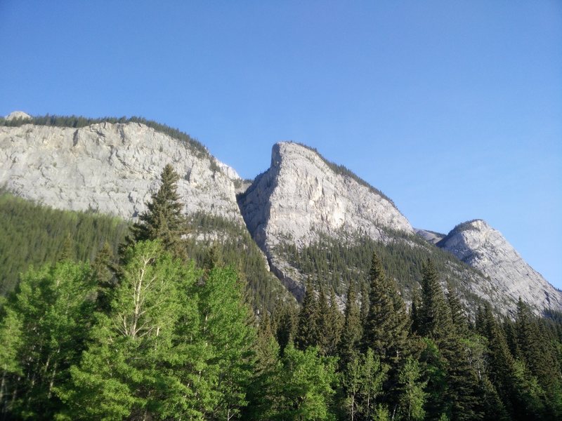 Mother's day buttress