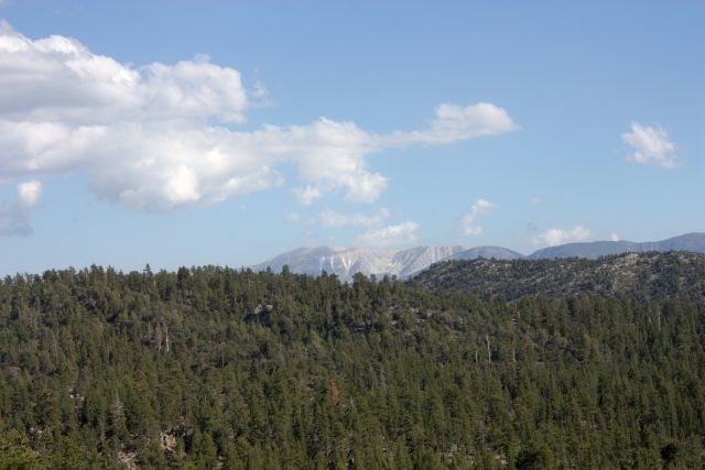 Mt. San Gorgonio From The Central Pinnacles, Holcomb Valley Pinnacles