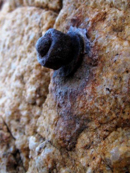 Old bolt - Isula Rossa, Corsica