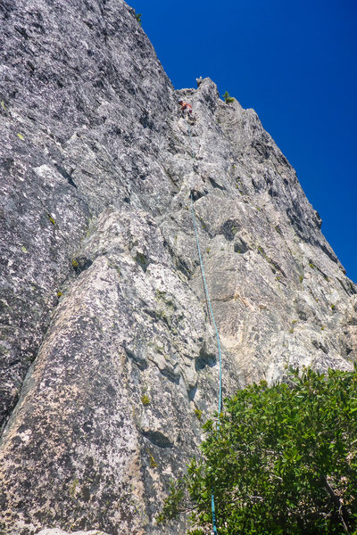Cosmic Wall, Pitch 5 (out of 6), left variation.
