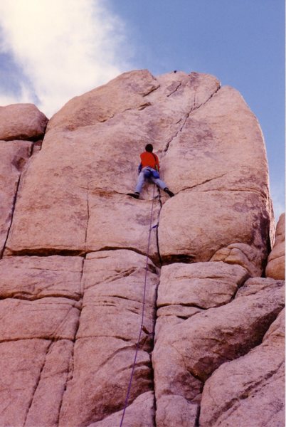 Mark Taylor on Sail Away - March 1990