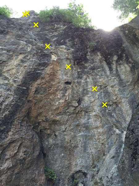 Photo of FernGully