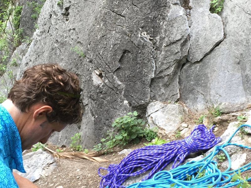 Base of Pitch Black with a rattlesnake hanging out left of the start on the rock.