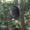 The wildlife tunnel; bring a headlamp!