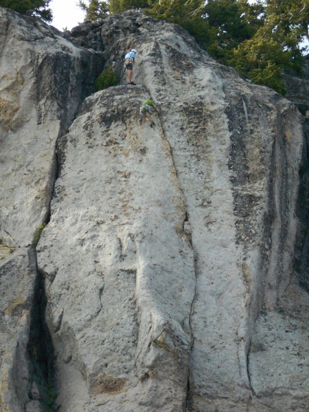 Climbers on Stegosaurus
