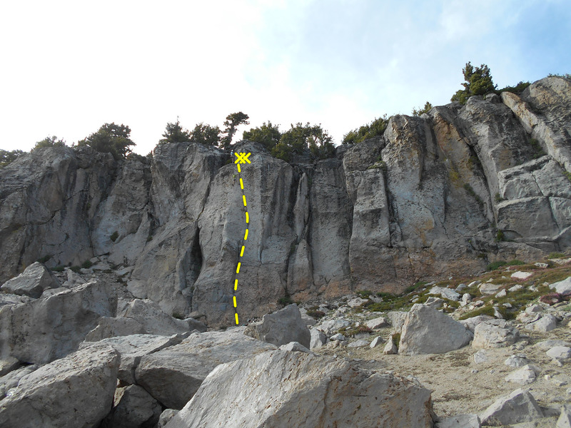 Stegosaurus. Note climbers for scale.