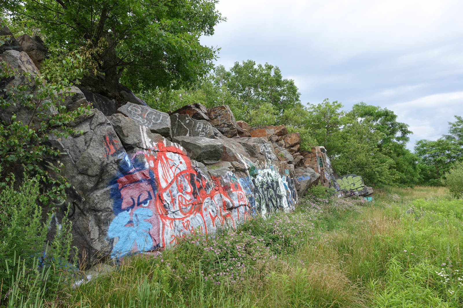 Swingle's Quarry far right of north wall.