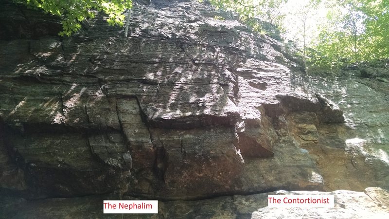 The Contortionist is right-most, The Nephalim just to the left.