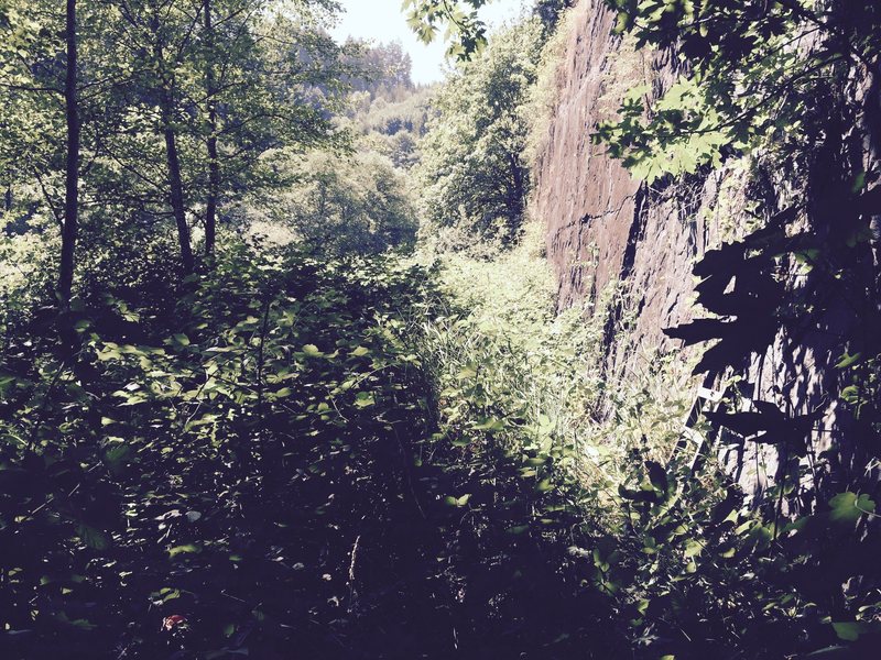 Time for another cut back at the base of the Harlan Rock Quarry.