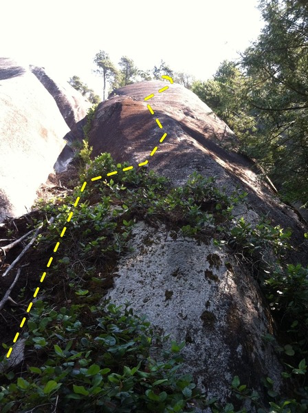 The climb follows the obvious slab above the stumps