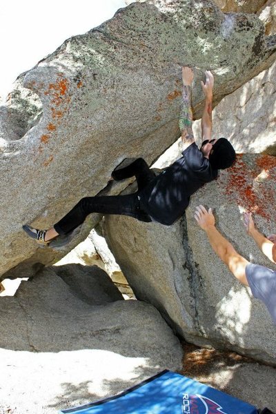 Mid section