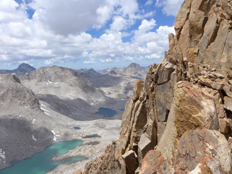 Evolution Basin from Haeckel