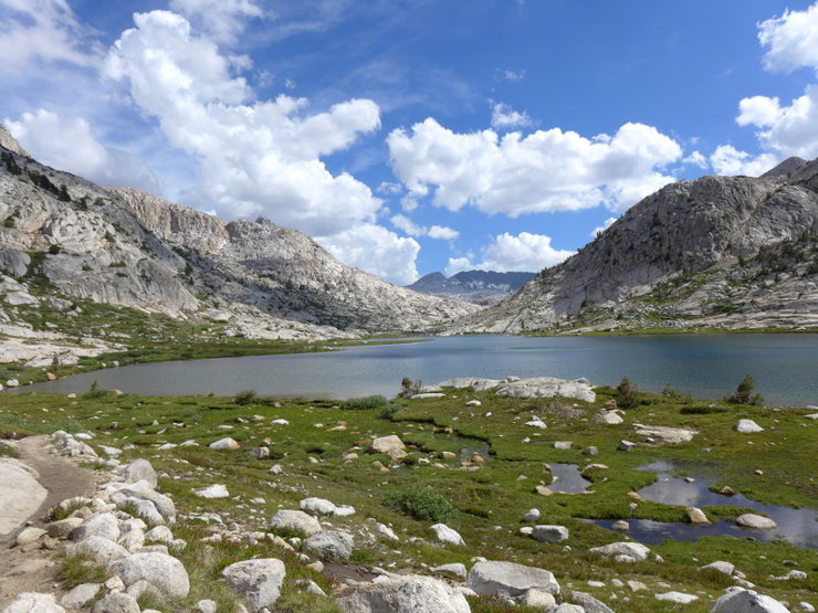 Evolution Basin