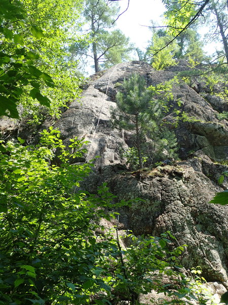 View from the forest.
