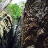 Muir Valley, Red River Gorge