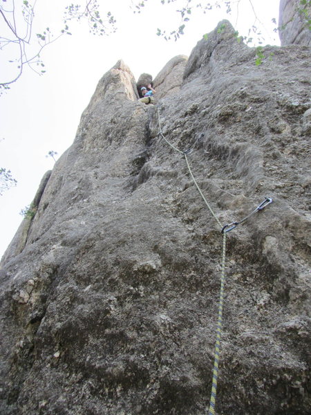 Anne Meyer leading Second Hand Rose Arete