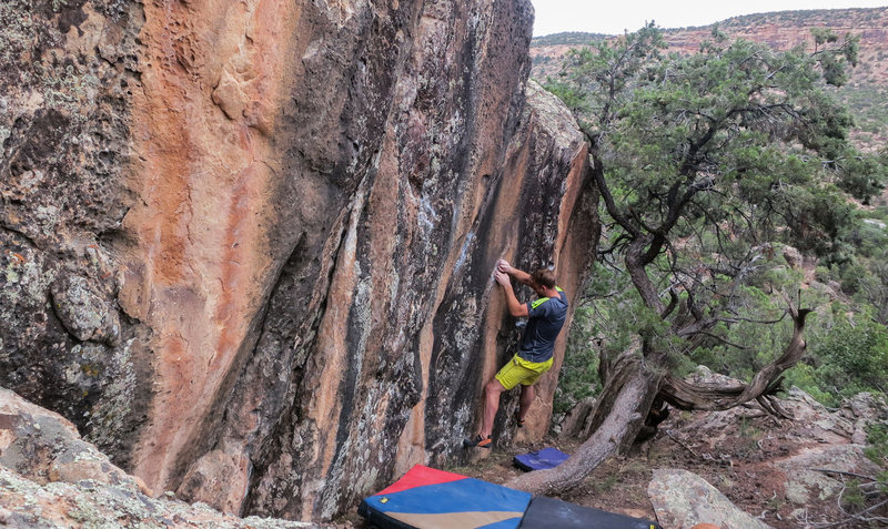 A few moves into Superduper, at the first rail.