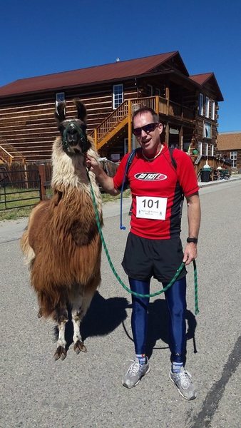 Llama Races- Fairplay, Colorado