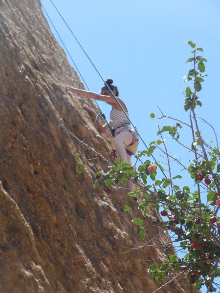 Climbing iron the ATR Wall on a beautiful July day.
