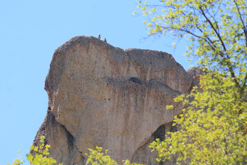 My friend Matt Benge proposing to his girl Laura Poynor on top of heart rock on 07-25-2015