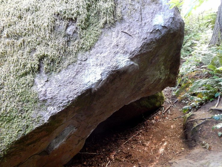 All Bernd Up avoids top sloping lip seen in picture.