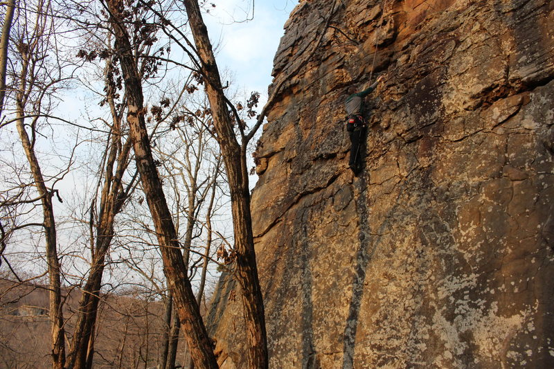 Climber on Brand New