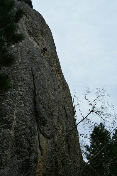 Rapping off hornets nest
