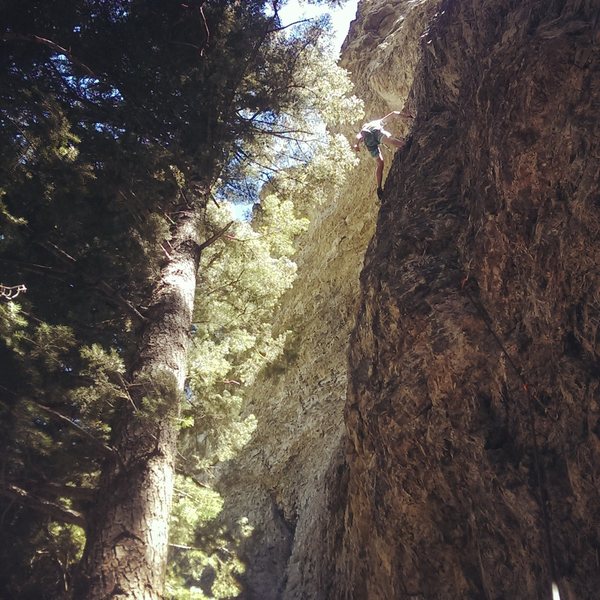 Was just messing around in the area and got a good picture with my friend climbing